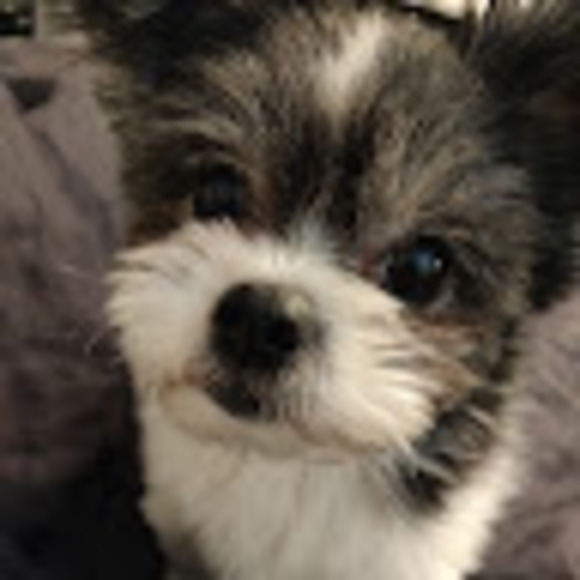 Meet your Posher, Justine - Picture 1 of 1